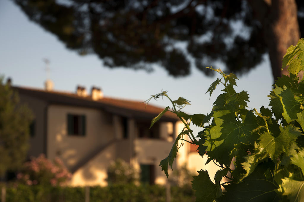 Alloggio per agriturismo Quattro Pini Castagneto Carducci
