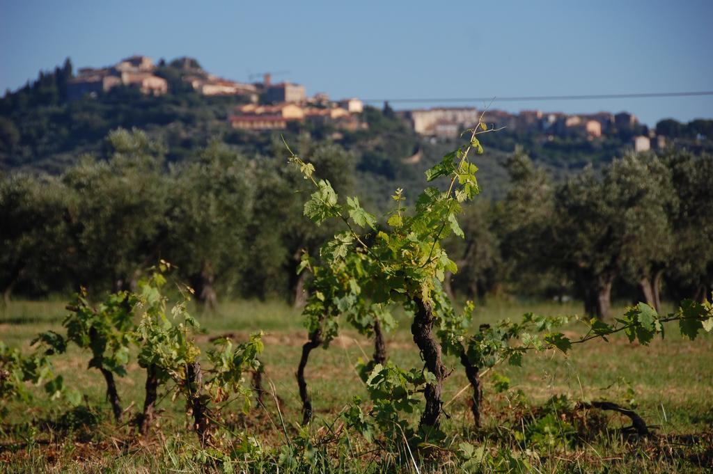 Alloggio per agriturismo Quattro Pini Castagneto Carducci